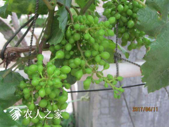 ȫ������ 034.jpg