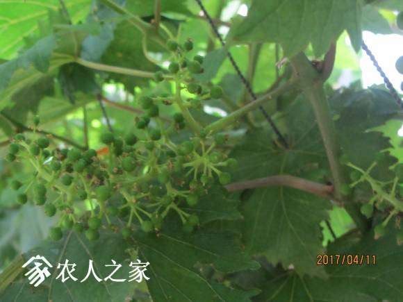 ȫ������ 035.jpg