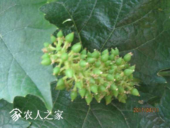 ȫ������ 039.jpg