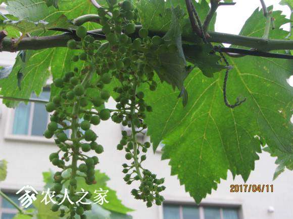 ȫ������ 040.jpg