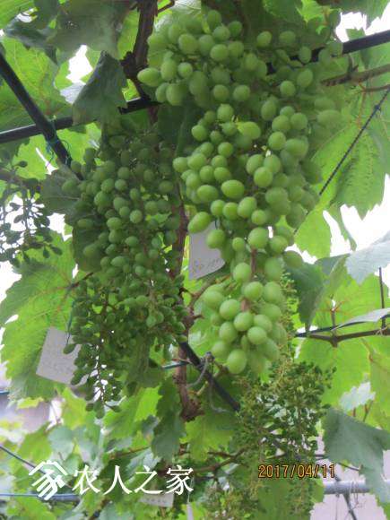 ȫ������ 042.jpg