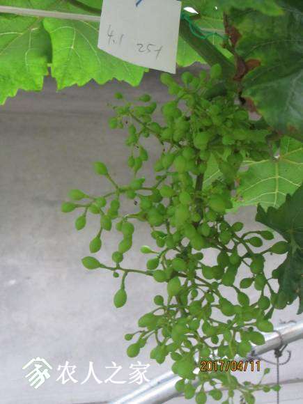 ȫ������ 046.jpg