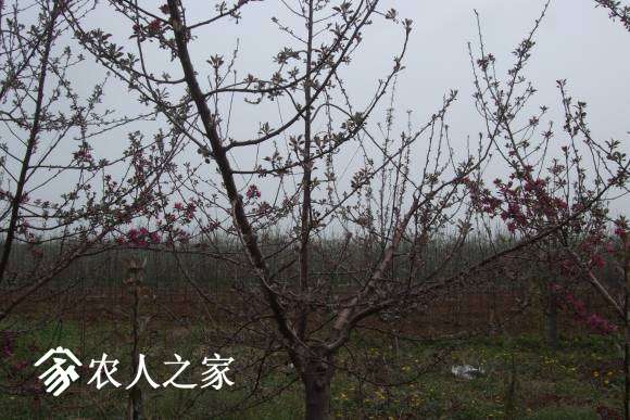 찮 054.jpg