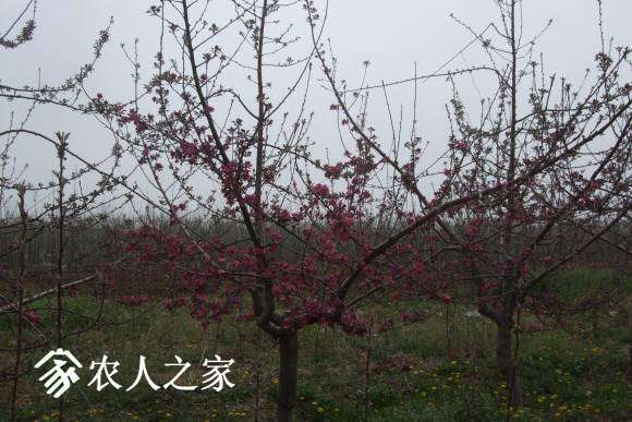 �찮���� 052.jpg