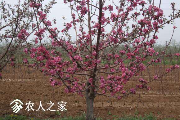 �찮���� 053.jpg