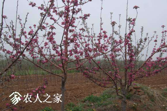 �찮���� 055.jpg