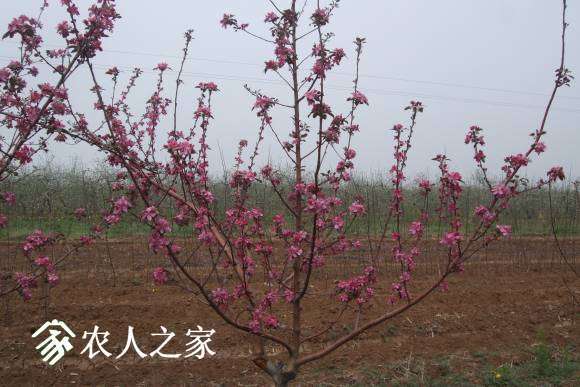 �찮���� 056.jpg