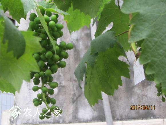 ȫ������ 051.jpg