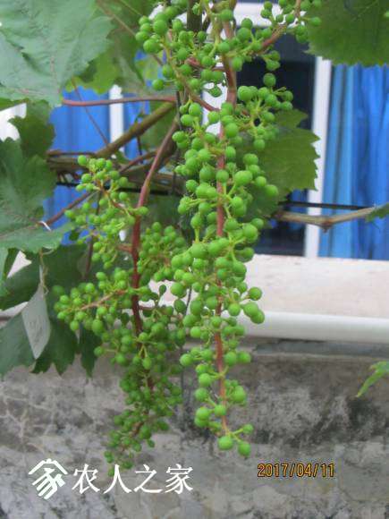 ȫ������ 052.jpg