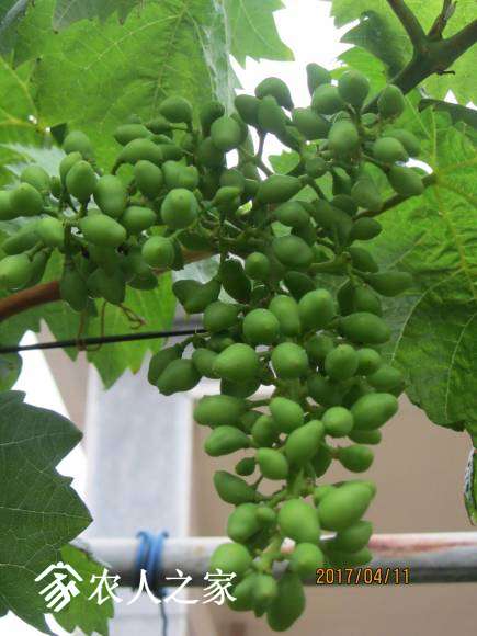 ȫ������ 053.jpg