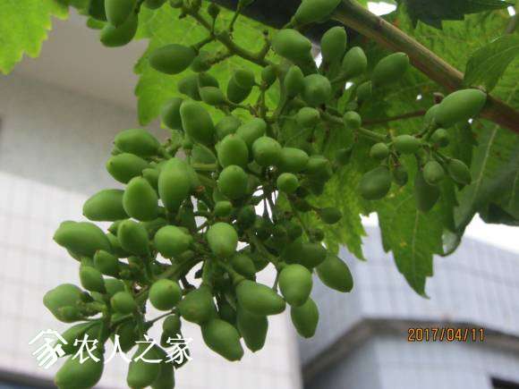 ȫ������ 054.jpg