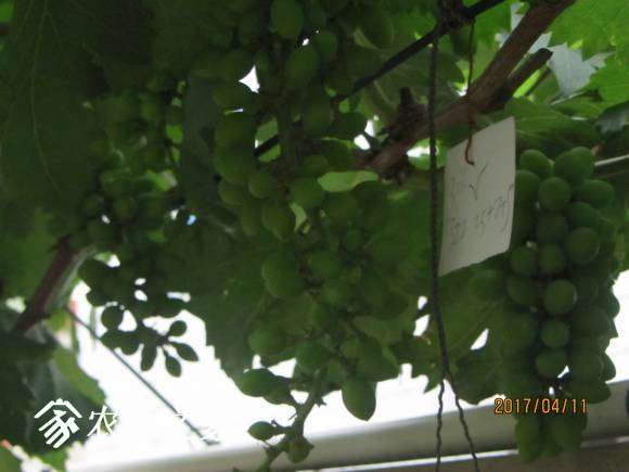 ȫ������ 055.jpg