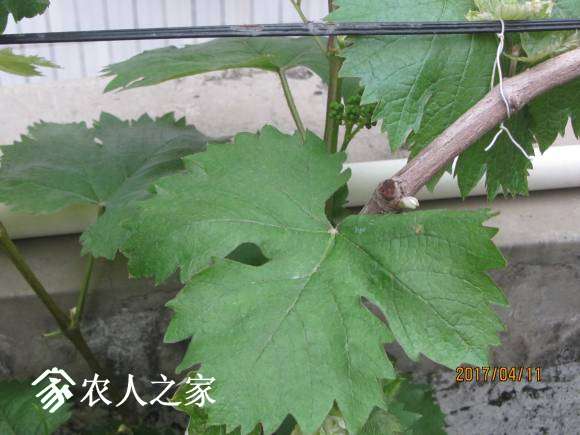 ȫ������ 056.jpg