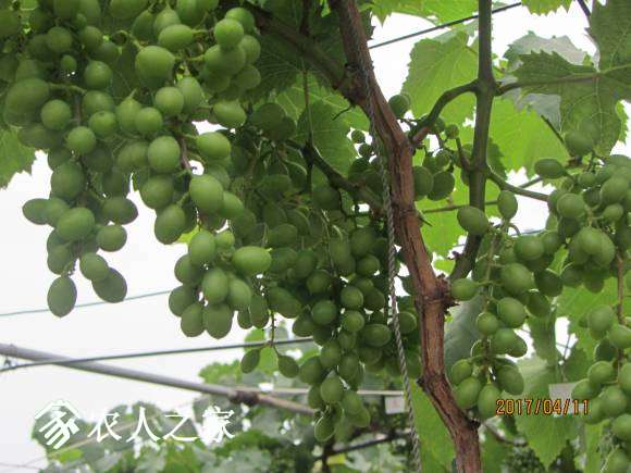 ȫ������ 057.jpg