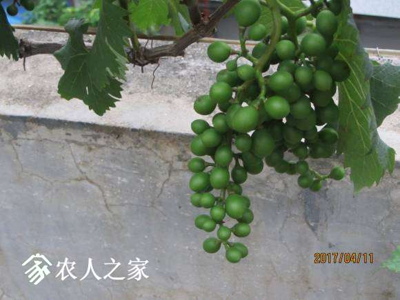 ȫ������ 060.jpg