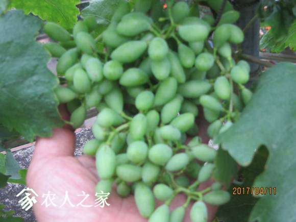 ȫ������ 061.jpg