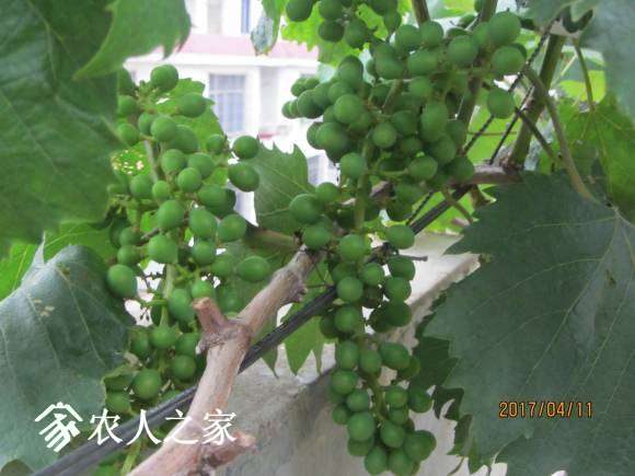 ȫ������ 068.jpg