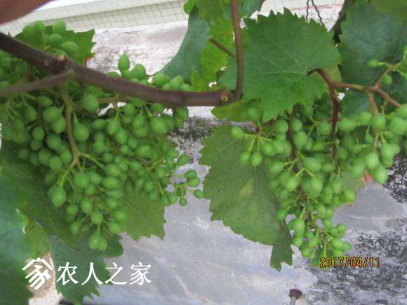 ȫ������ 077.jpg