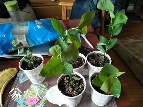 IMG20170412103613.jpg