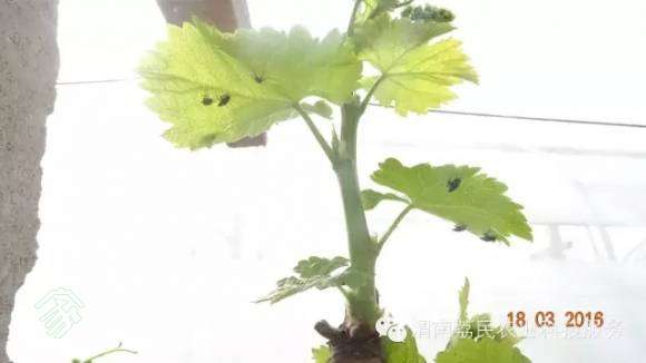 20170412_151913_001.jpg