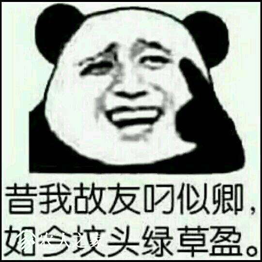 5555.jpeg