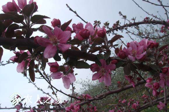 �찮���� 088.jpg