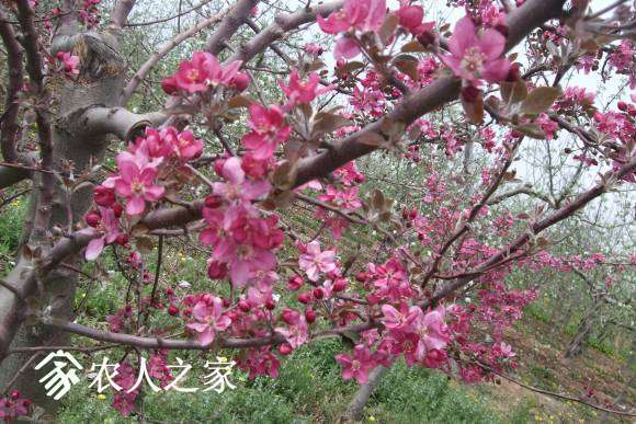 �찮���� 089.jpg