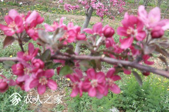 �찮���� 090.jpg