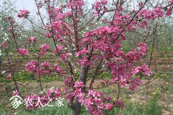 �찮���� 091.jpg