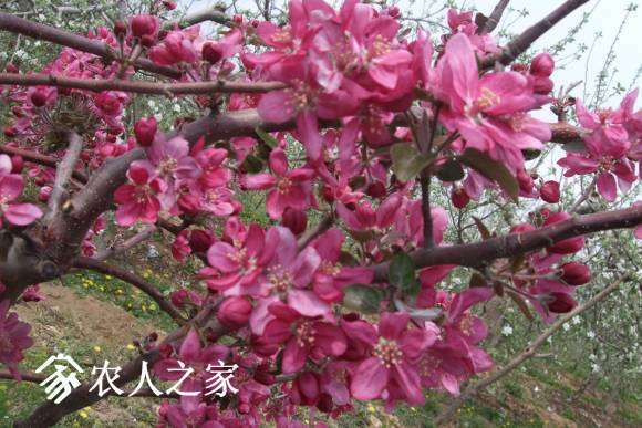 �찮���� 092.jpg