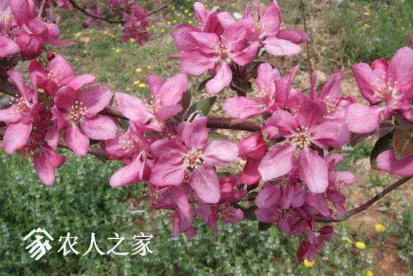 �찮���� 093.jpg