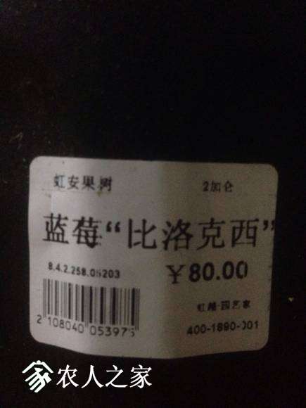 71681064385024581.jpg