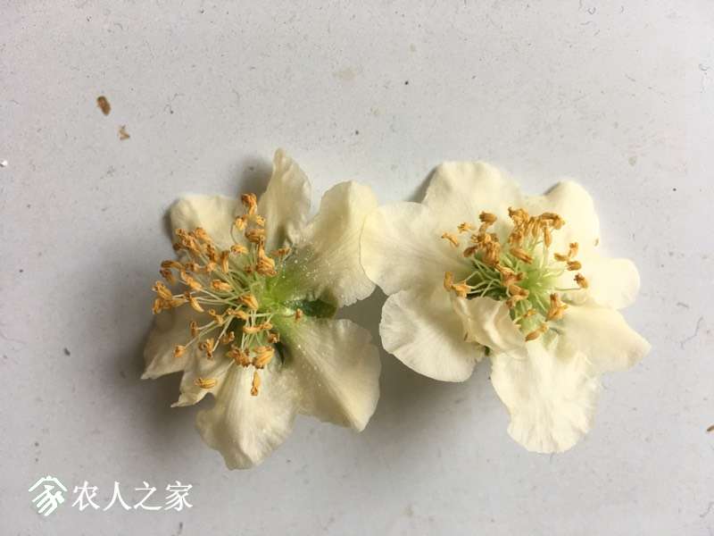 095029woei577j0xi7obxl.jpg
