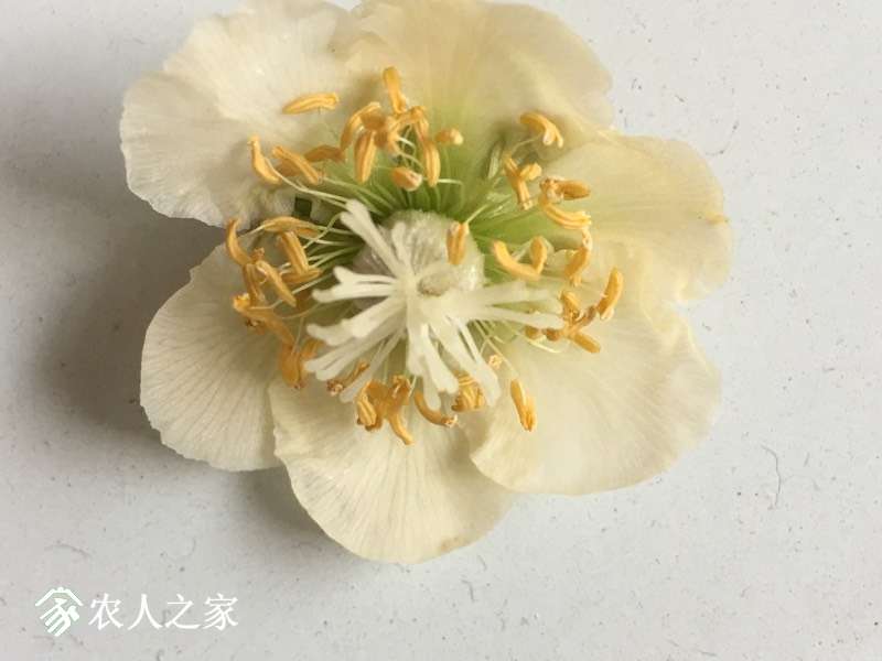 095030n3djaid4aicip4a3.jpg