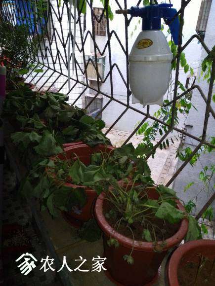 ΢��ͼƬ_20170413154052.jpg