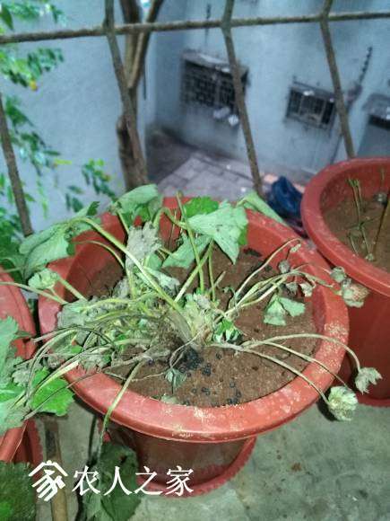 ΢��ͼƬ_20170413154104.jpg