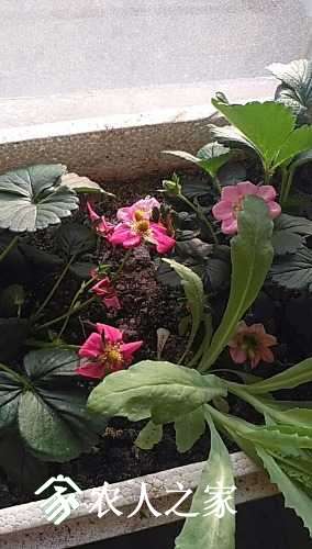 wx_camera_1491863980702.jpg