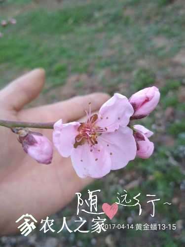 2017_04_14_07_23_33.jpg