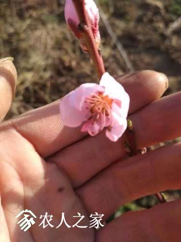 2017_04_13_08_20_14_0.jpg