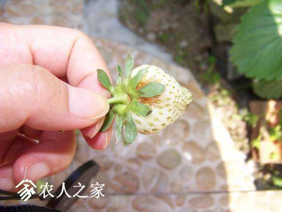 100_6308_����.jpg