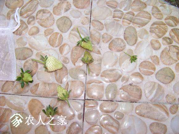 100_6311_����.jpg