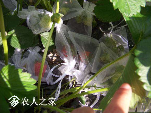 100_6282_����.jpg