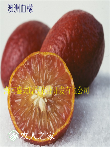 1486961897(1.png