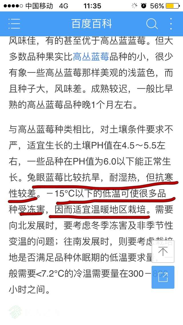 113645rpwhzghehw5juexu.jpg
