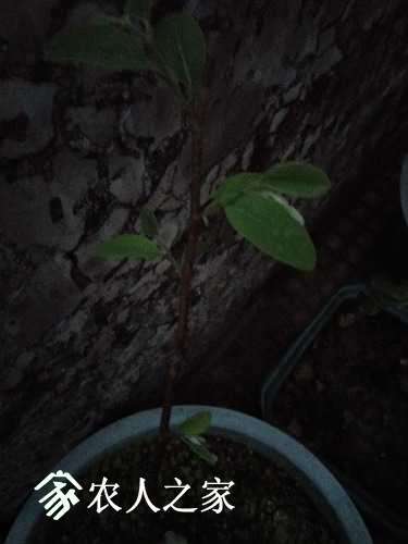 IMG20170415190430.jpg