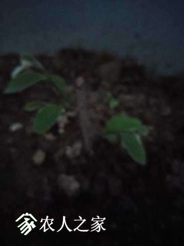 IMG20170415190346.jpg