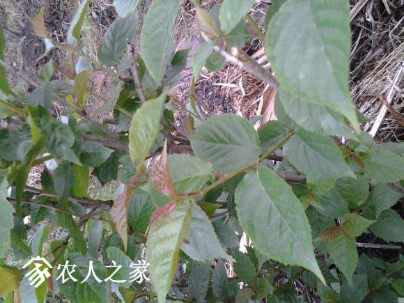 20170410_173630.jpg