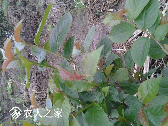 20170410_173725.jpg