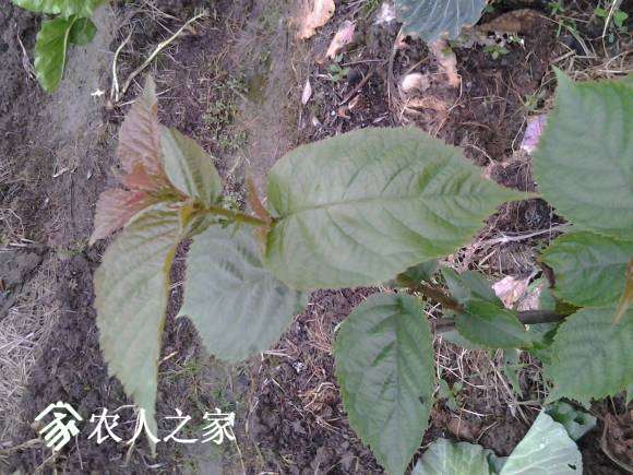 20170410_173817.jpg