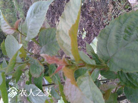 20170410_173827.jpg